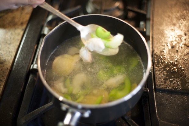 Ginger Chicken Soup